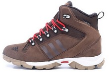 2014adidas¿V22175
