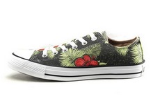 2015converse¿138256_408