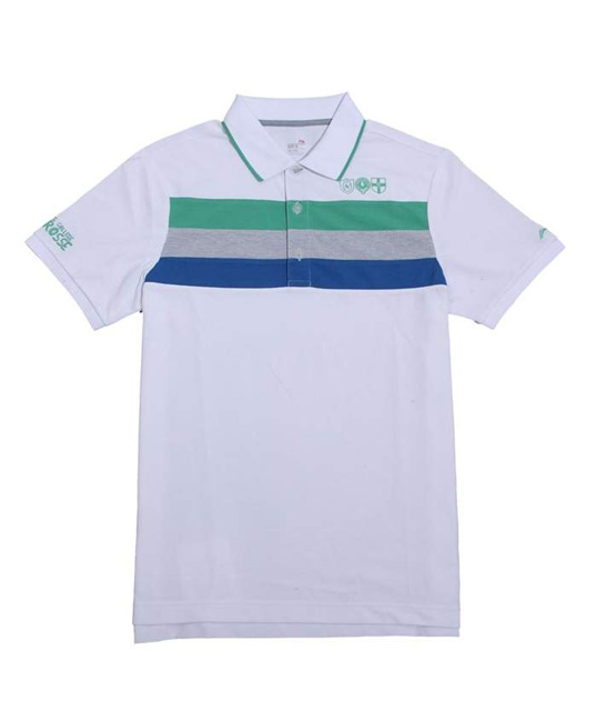  APLG095-1