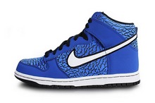 2014nike¿317982-418