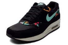 2015nike¿528898-003