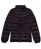 ���� 2PU83169501