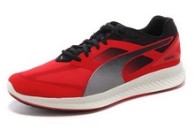 2015puma¿1PU18804103