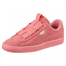 pumaƷ¿36622703
