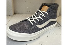 2015vans¿00018IHVD_HK