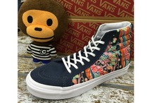 2015vans¿018IIG5_HK